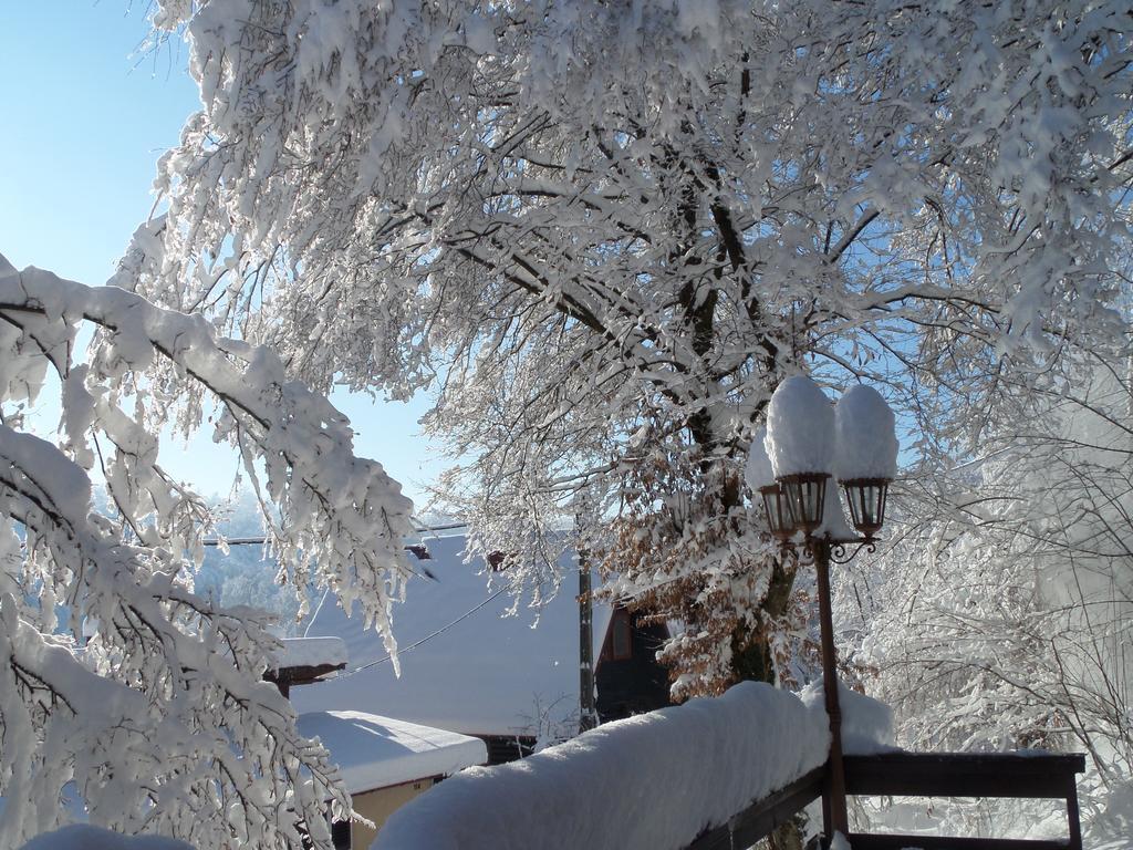 Holiday Home Mreznica Gornji Zvečaj 客房 照片